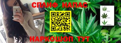 амф Гуково