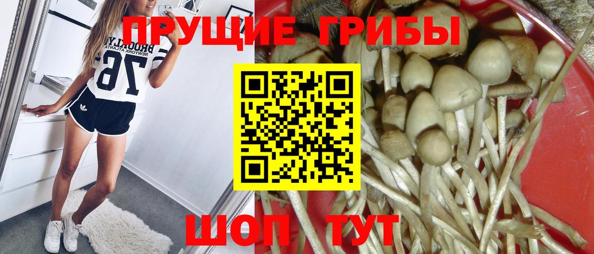Галлюциногенные грибы MAGIC MUSHROOMS Асино